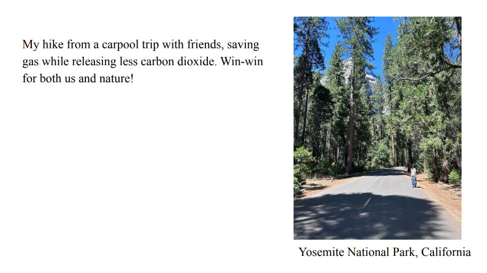 Photo of a road going through large trees. A person is stading on the right side of the road. Caption: Yosemite National Park, California. Text: 
					My hike from a carpool trip with friends, saving 
gas while releasing less carbon dioxide. Win-win 
for both us and nature!